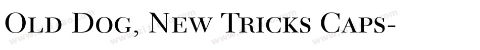 Old Dog, New Tricks Caps字体转换